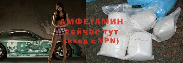 сатива Баксан